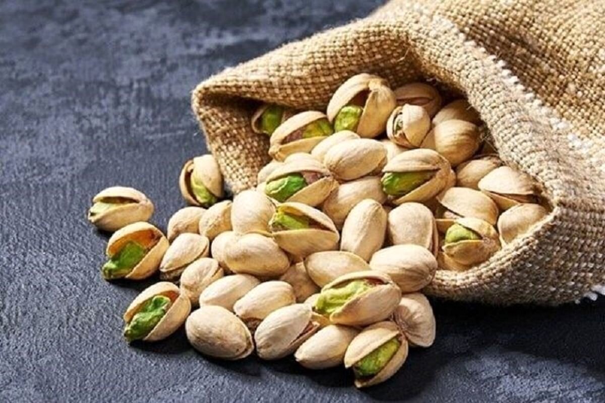 Iranian pistachio harvesting